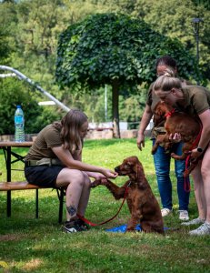 24. Piknik Leśny